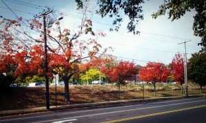 2013-10-04-16-41-15_deco