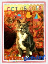 2013-10-05-22-41-06_deco